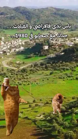 #ضحك #dz #tiktokdz #fyp #viral 