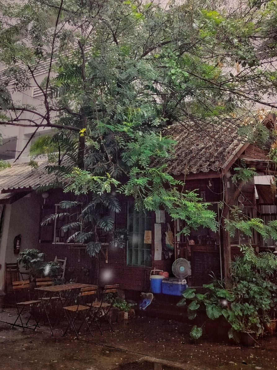 တစ်ယောက်က ကြေကွဲရင် တစ်ယောက်လည်း ၀မ်းနည်းနေခဲ့.. 🥹💔 #သီချင်းလေးကြိုက်လို့ပါ #Myanmarsong #lyricsvideo #trending #နားထောင်ကြည့် 