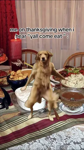 😂😂😂omg I know food finna be good this year #trending #xyzbca #MemeCut #Meme #blowthisup 