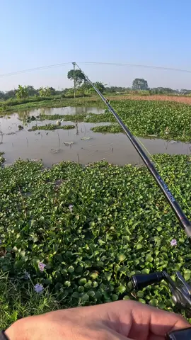 Được con cá mà mệt bở hơi tai😂#caucaloctunhien #caulure #cauca #xuhuong 