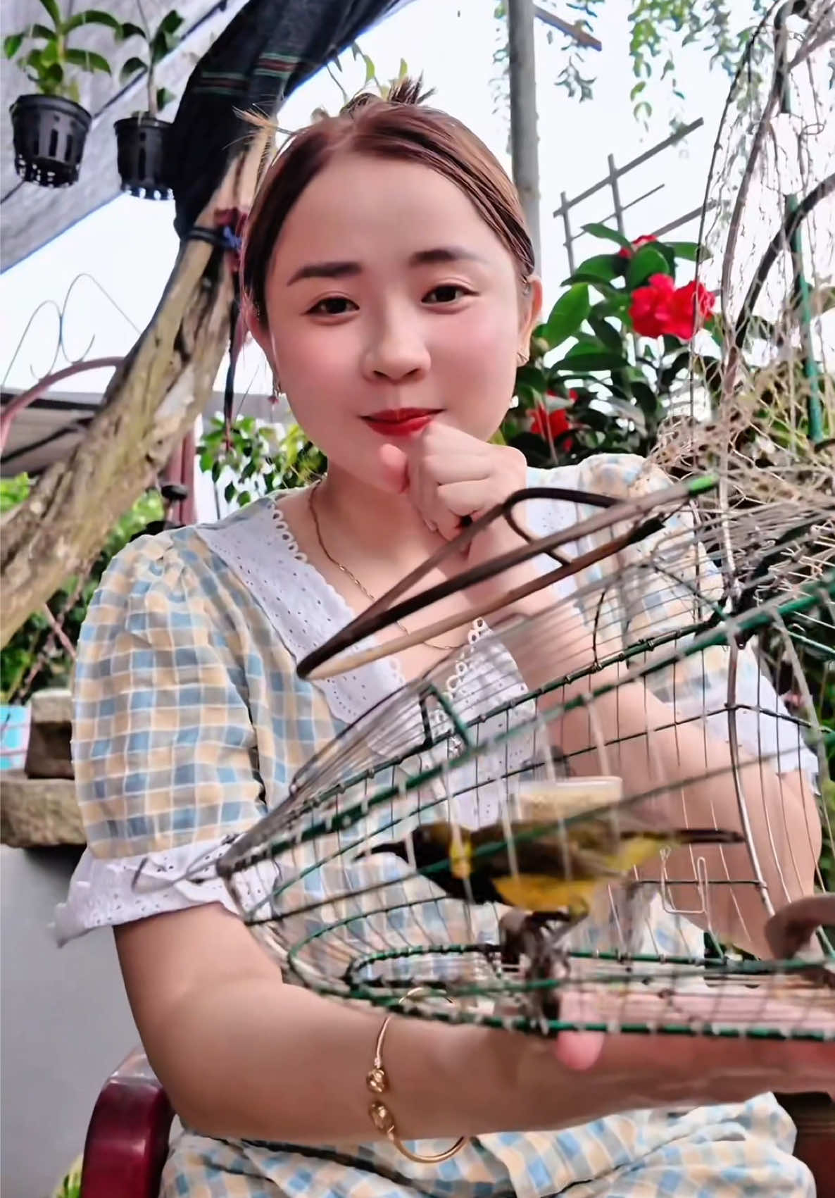 Khi chim hút mật 5 màu có bông hoa ở néch 😀😀 #chimhutmat #camyan #camchimhutmat 