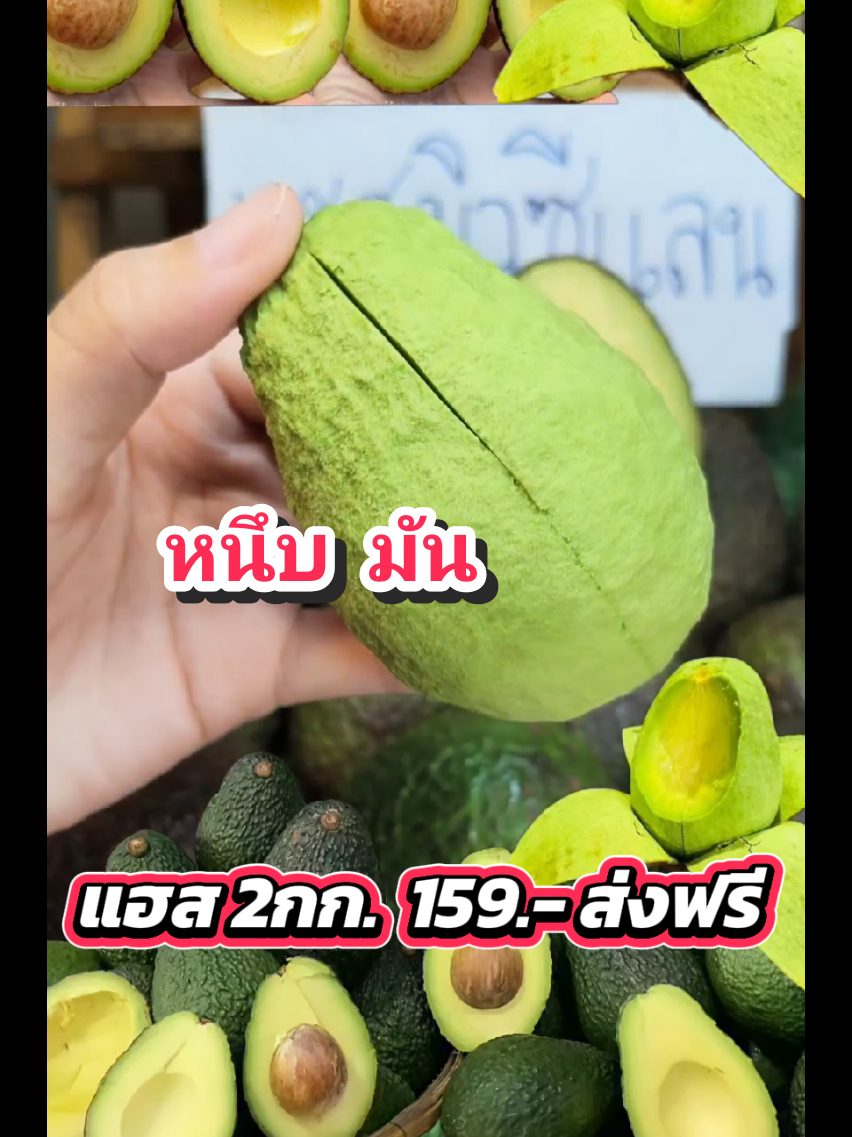 สายพันธุ์นี้เข้มข้นมาก อะโวคาโดแฮส#อะโวคาโด้เพื่อสุขภาพ🥑🥑 #อะโวคาโด #tiktoklive #livehighlights 
