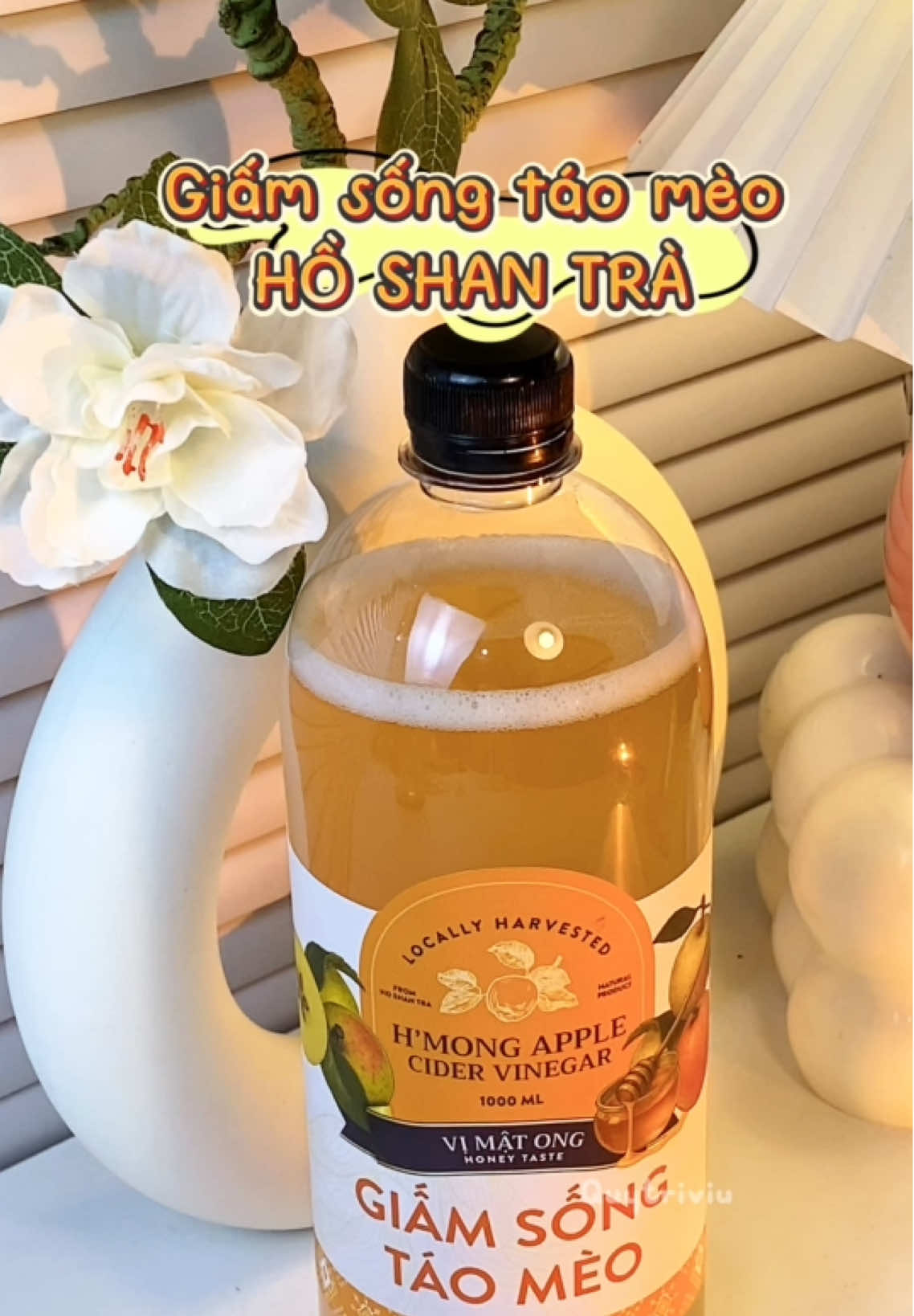 Giấm táo mèo vừa hiệu quả z.á lại hạt dẻ, ủng hộ bà con mình mấy bà nhỉ #giamtao #giamtaomeo #giamsongtaomeo #hoshantra #fyp 