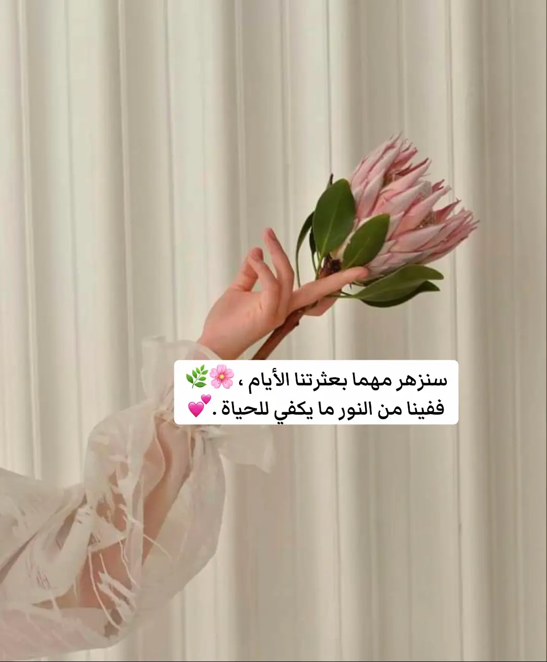 #خواطر #اكسبلور 