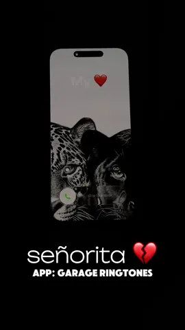 señorita 💔 #señorita #mexican #fyp #goviral 
