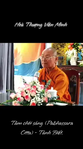 Tâm chói sáng (Pabhassara Citta) - Tanh Biết. Hoà Thượng Viên Minh  🍀 #thayvienminh #htvienminh #phatphap #daophat #nammobonsuthichcamauniphat 