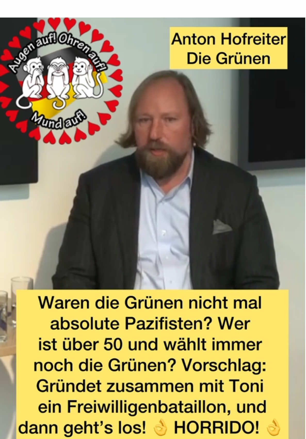 Anton Hofreiter über Selektion im Wehrdienst 😥 #deutschland #diegruenen #frieden #krieg #Wehrpflicht 