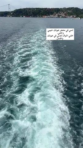 #عيوني #❤️ #راشد_الماجد #بحر #تركيا 