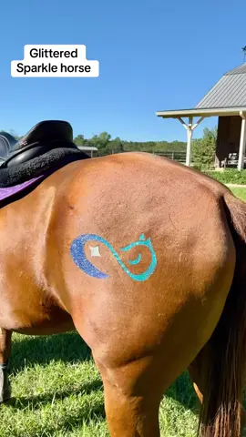Horse or fox? You decide! This Glittermarx has me seeing sparkle magic 🦊🐴✨ @Sophie & Penny #horses #mlp #glittermarx #horsegirls #sparkle 