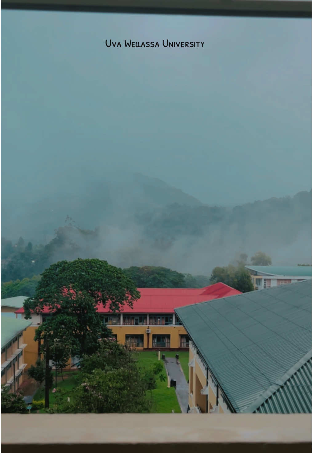 මේක ලංකාවේ මීදුමෙන් හැඩ වෙච්ච ලස්සනම කැම්පස් එක කිව්වොත් ඔයා පිලිගන්නවද🤍🥹 #uvawellassauniversity #winter #foryoupage #trending #nature 