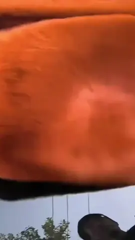 Đệm ghế ngồi mùa đông #phukienoto #demgheoto #demghexehoi 