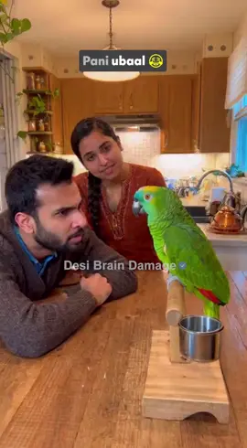 Biwi Ka Sawal… Parrot Ka Jawab 😂🤣😹🤣😂 #funny #viral #pakistan #pets #viraltiktok #funnyvideos #parot #comedyvideo #viralvideo #funnymeme #meme #desicomedy #desi #aivideo