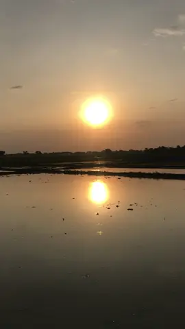 #fyp #sunset #foryoupage #newpost 