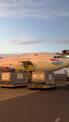 #fyp #xyzbca #foryouu #avsec #garuda 