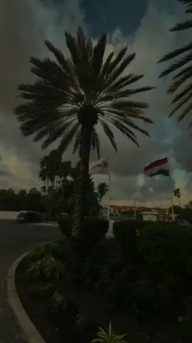 Happy Monday #GrowingGlowing #SelfLove #viraltiktokvideo #GodFirst #Curacao 