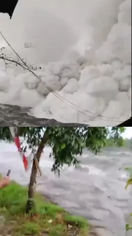 Situasi gunung Semeru saat ini sangat mencekam, hingga mengeluarkan awan panas #creatorsearchinsights #semeru #fyp 