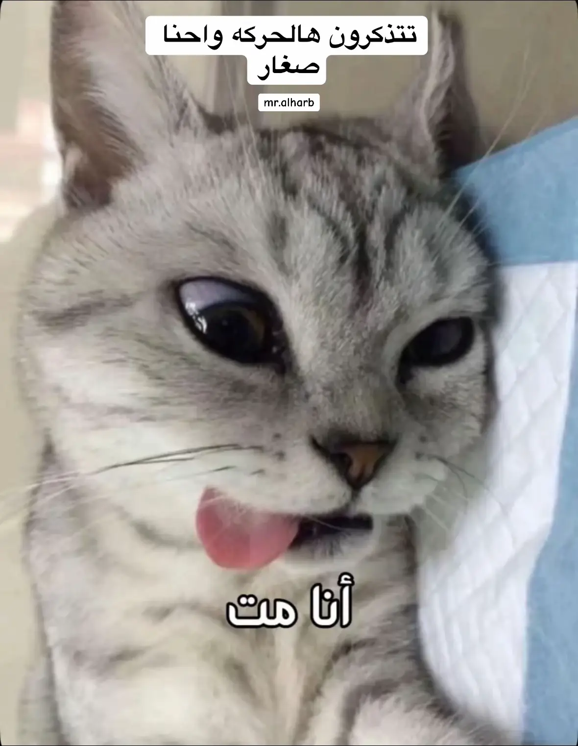 #اكسبلور #الرياض #المدينه_المنوره #الشعب_الصيني_ماله_حل😂😂 