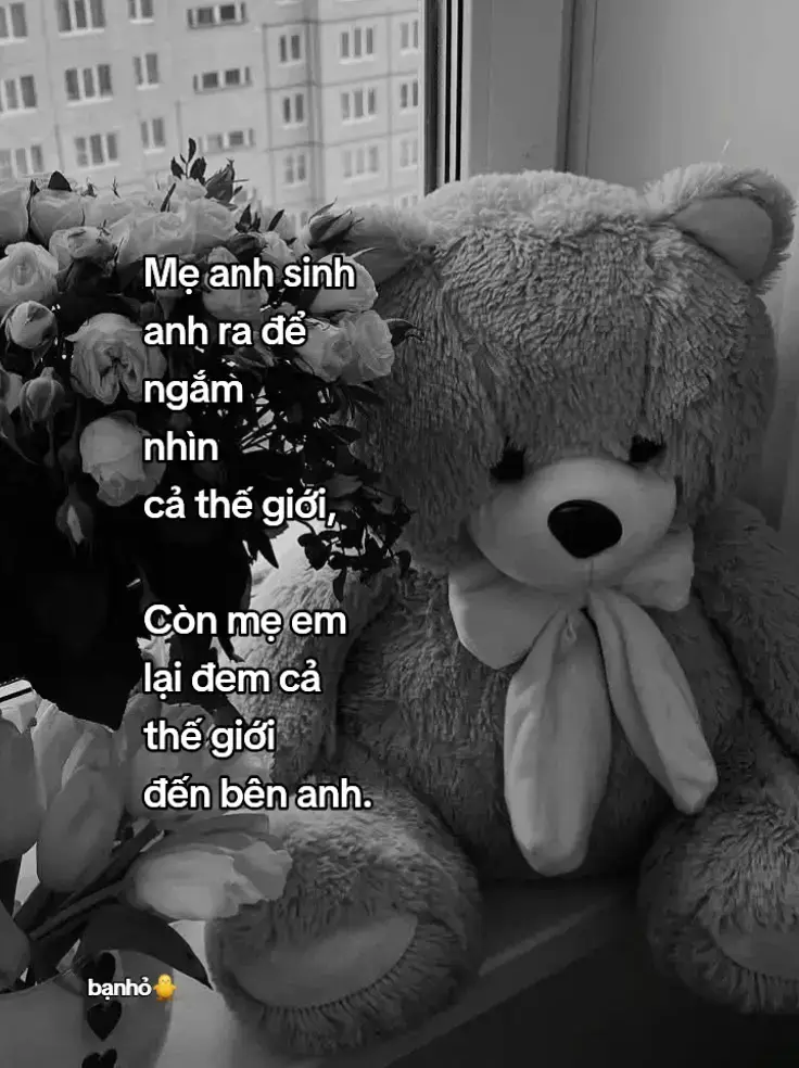 Mẹ anh sinh anh ra để ngắm nhìn cả thế giới.#xh #fyp #vairal 