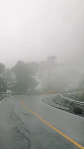 Pusuk Sembalun dengan kabutnya🍃 #fyp #lombok #sembalun 