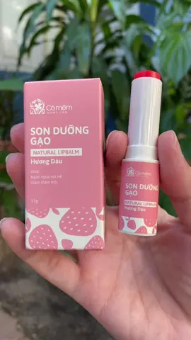 Son dưỡng gạo Cỏ Mềm #sonduongcomem #sonduong #sonduonggaocomem #xuhuong #viralvideo 