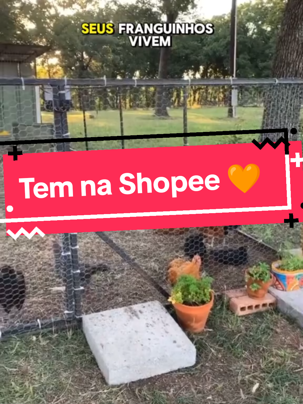 Tela de galinheiro, tela para horta, tela para tudo! Prática, resistente. #achadinhosdashopee #telagalinheiro #telahorta #fy #shopee 