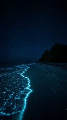 #شتاء_البرد_اجواء_شتويه #امواج #ليلي #مناظر_طبيعيه #هواجيس 