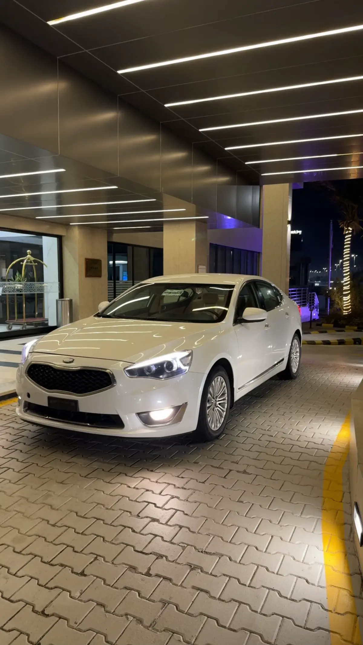 #ترند #anime #tiktok #ربع #كادنزا_2016 #البر #الرياض #جدة 