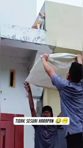 #berbuatbaik #catlover #catlovers #vypシ 