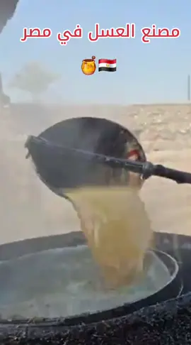 صناعة العسل في مصر 🇪🇬  #السعودية #مصر #اكسبلور #اكسبلورexplore #الصعيد 