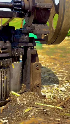 #میرا_سہنا_پنڈ_لاکھو_کالم_ضلع_قصور♥️🍁🌴🌱😇 #shani_mayo1 #shanimayo 