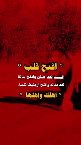 #عبرات #راموس #اكتباسات #اقتباسات_عبارات_خواطر #اعده_نشر🔁_واكسبلور_وليك 