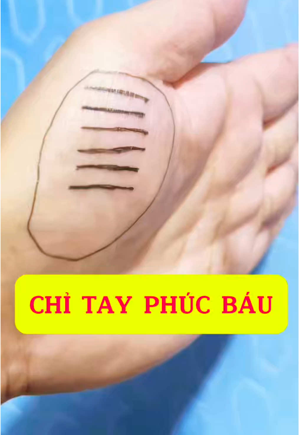 🔎✋ XEM CHỈ TAY BIẾT NGAY CUỘC ĐỜI. #xemchitay #new #viral #xuhuong #thinhhanh 