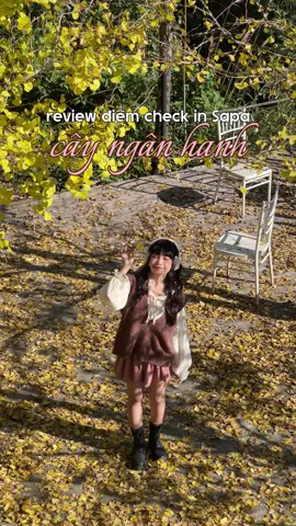 Đi du lịch Sapa tuần này phải ghé ngay chỗ này để chụp lá vàng nha mng ơi 🍂 Huhu nó đẹp điêng lun 🥹 #sapa #sapavietnam #traveltiktok #dulichsapa #travel 