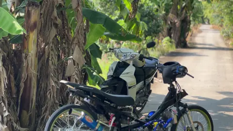 Hết tiền ăn tết bán 7tr 😞#xhuong #sriusdangma 