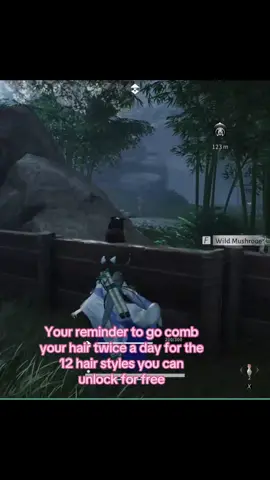 Sometimes I forget too #wherewindsmeet #fyp #wwm