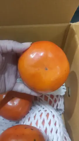 #พลับเกาหลี #ผลไม้ #fruit 