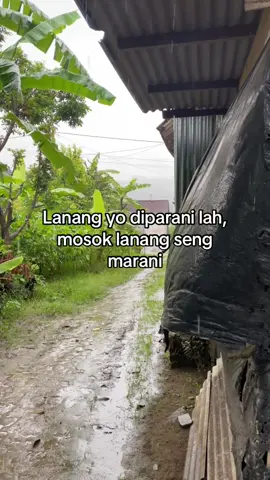 Usum ye🤣#tulungagung24jam #fypシ゚ 