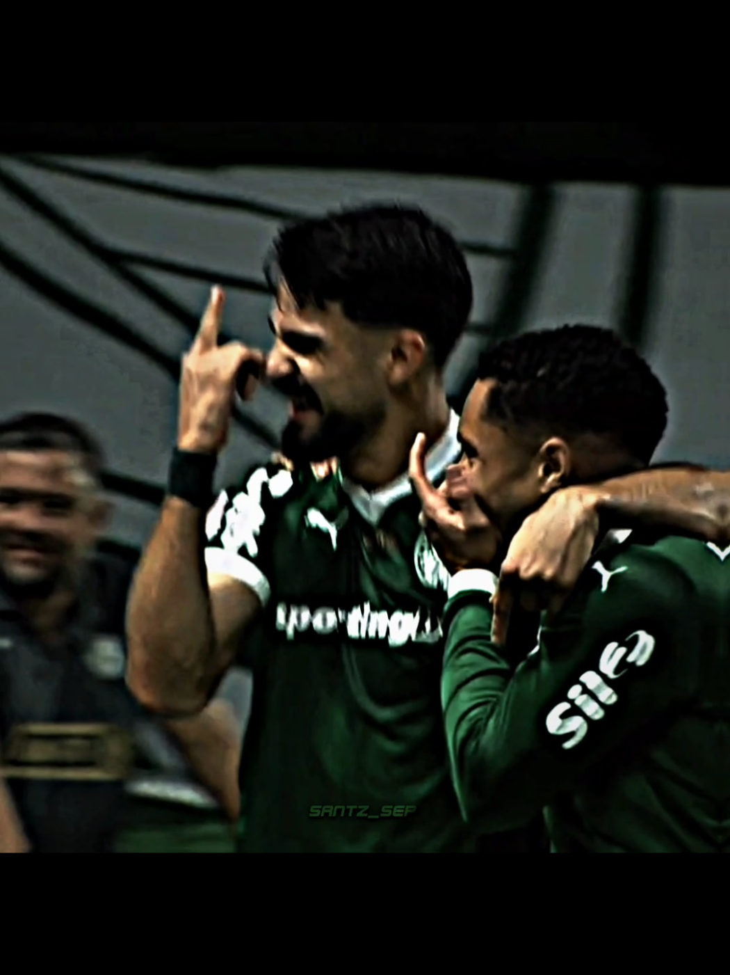 Final da libertadores promete! 💚🔥 #palmeiras #flamengo #libertadores2025 #final #foryou 