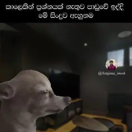 Dawasata ekaparak hari hitha ridune nattan kawe na wage 😪💔 #creatorsearchinsights #sanjanaimesh #funnyvideos #meme #thekota 