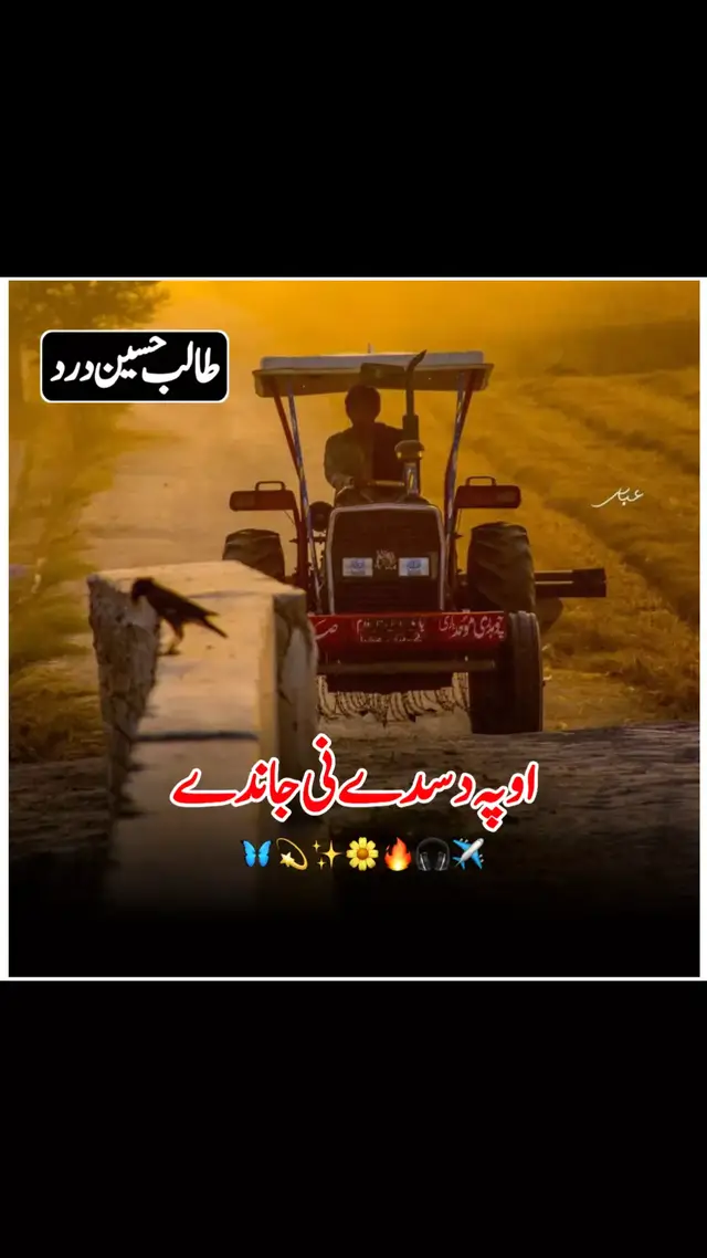 #سنگت_ویڈیو_وائرل_کریسو_آپ_ہیں🥀🌼🙈✨🎇 #allahdittalonaywala #اللہ۔دتہ۔لونے۔والا #allahditta #اللہ۔دتہ 
