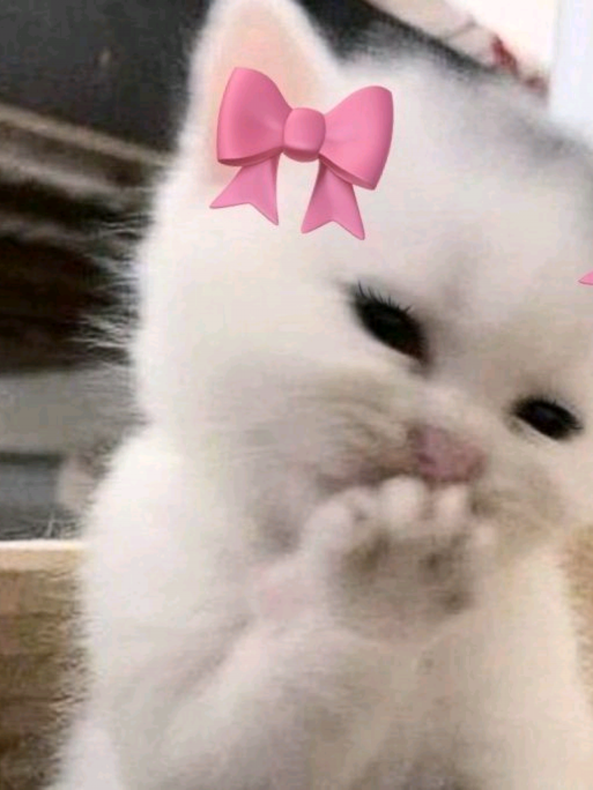 ငါ့ကိုကိုအိပ်နေသလောက်ပဲရှိတယ်🤨🥱#mtခေါ်လိုက်တော့ကွာ💓🤞 #alightmotion_edit #fylpシviral🖤tiktok #foryoupage #ရောက်ချင်တဲ့နေရာရောက်👌 