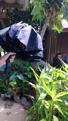 #ร่มโครงไฟเบอร์ #ร่ม #ร่มกันแดด #ร่มกันฝน #แม่โจ้ของดีราคาโดนใจ 