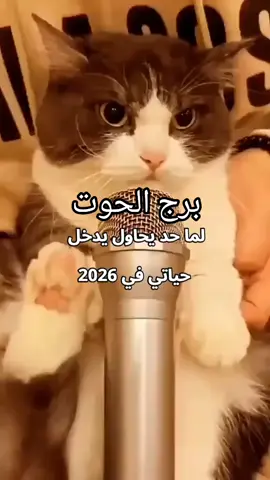 برج الحوت لما حد يحاول يدخل حياتي في 2026#ابراج #محمود_درويش #ahmed_shtya #انثي_الحووووت #برج_الحوت @🐬🐬برج الحوت 🐬🐬 @🐬🐬برج الحوت 🐬🐬 @🐬🐬برج الحوت 🐬🐬 