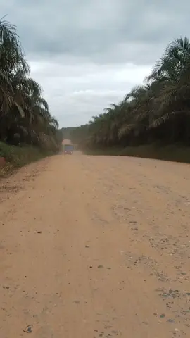 #pejuangnafkah #kulisawit @Afrizal @anak ayam 🐣 @heru24064 