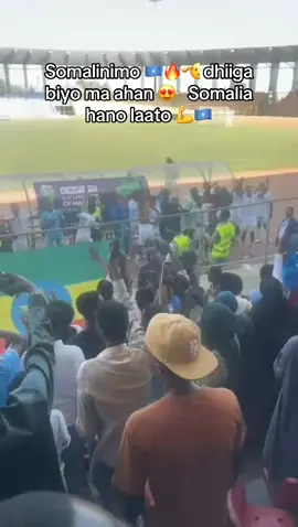 #reraddisababa dhiiga biyo ma ahan 🇸🇴🔥🫡#somalitiktok #caankabulbula #foryoupage #ethiopian_tik_tok🇪🇹🇪🇹🇪🇹🇪🇹 @ǍPĎÃĻĻÊ⚡️•🇱🇾🇮🇹✈️🇵🇷💫 @WaLiDoẀ🦍♥️ @✪  Lu₭Δ$  ٭͜ JΔΔL£  ✪🧃🐐🦇 @Fowzi 🇺🇸✈️ @miss Faniza @AyouZh 🤎🐇🌷 @.🥷🏼🦋 @🥷BLACK🕸🖤 @Derya🌊👸🏻 @R🧚‍♀️👸 @🥷Alma 🦋 @£MAHDIYA🧡💐£ 