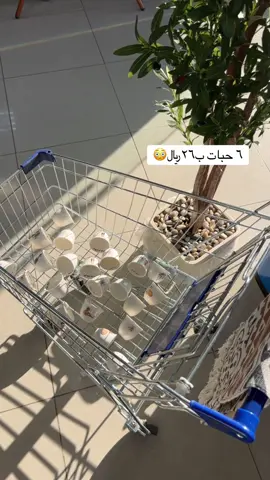 فناجيل الترند بعبارات ورسمات مختلفه #fyp #foryou #trending #اكسبلور #قهوه 