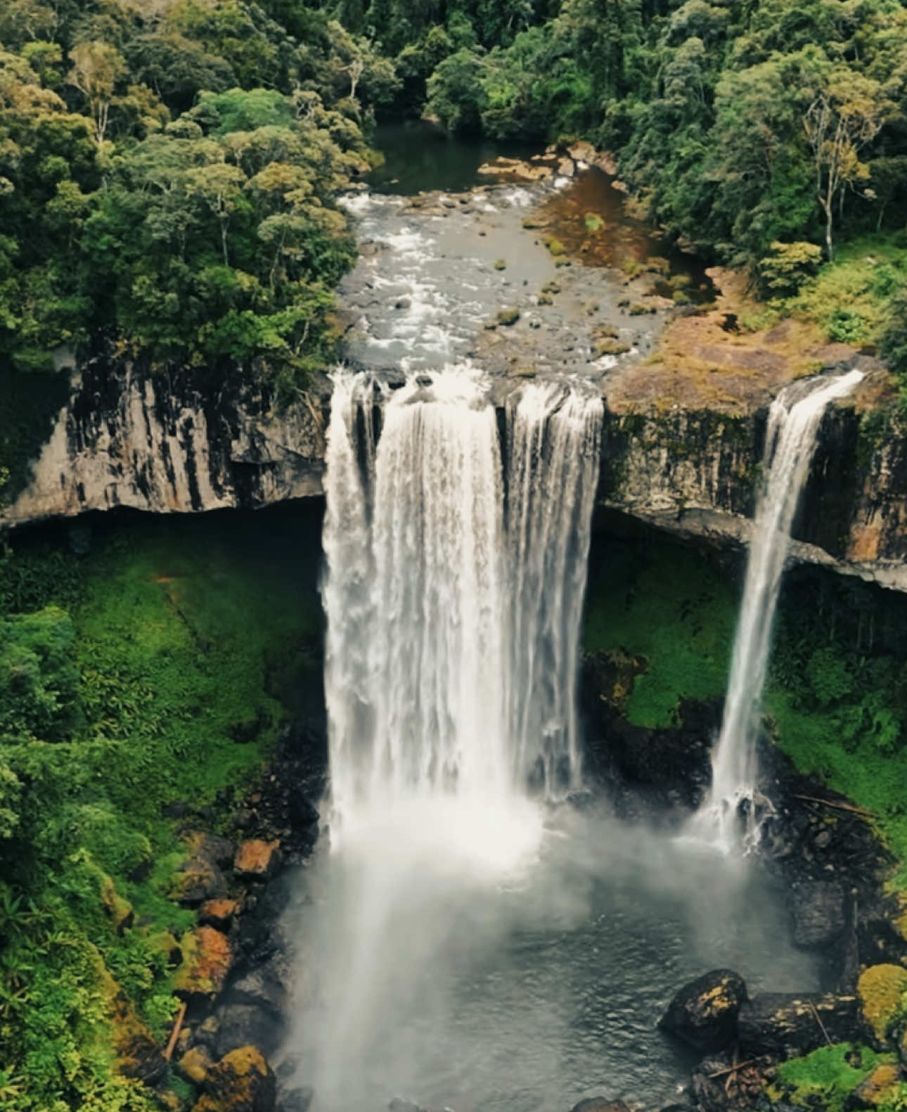 Tây Nguyên mang một vẻ đẹp rất riêng — hoang sơ, hùng vĩ và đầy mê hoặc. Cảnh đẹp ở đây không ồn ào mà nhẹ nhàng len vào lòng người.#Tâynguyen #tháck50 #thácnước #thiennhien #canhđepvietnam 
