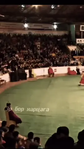 Mongolian wrestling 🤼 #mongolian #type #mongolia #foryou #wrestling 