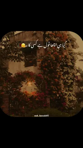 Lines 🥹#urdupoetry #poetrystatus #foryoupage #foryou #fyp 