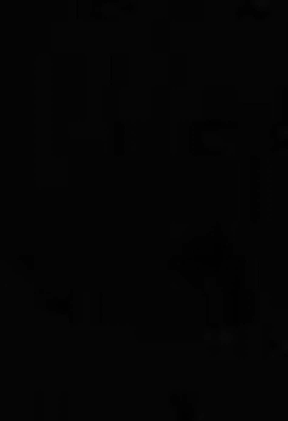 “nàng là hoa khôi rất xinh..”